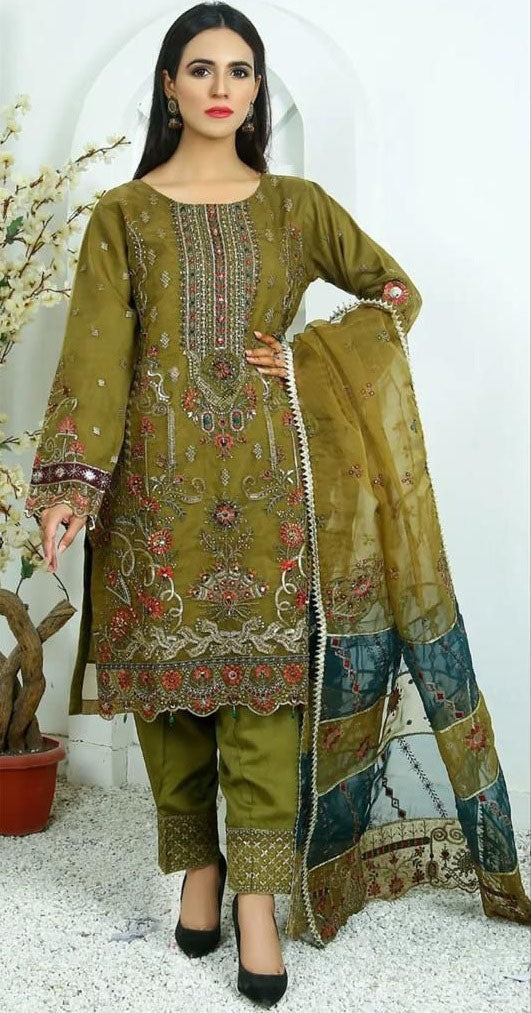 Women organza embroidery semistitched salwar set